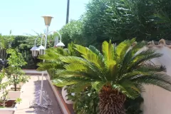 Arenella_beach_Siracusa_211